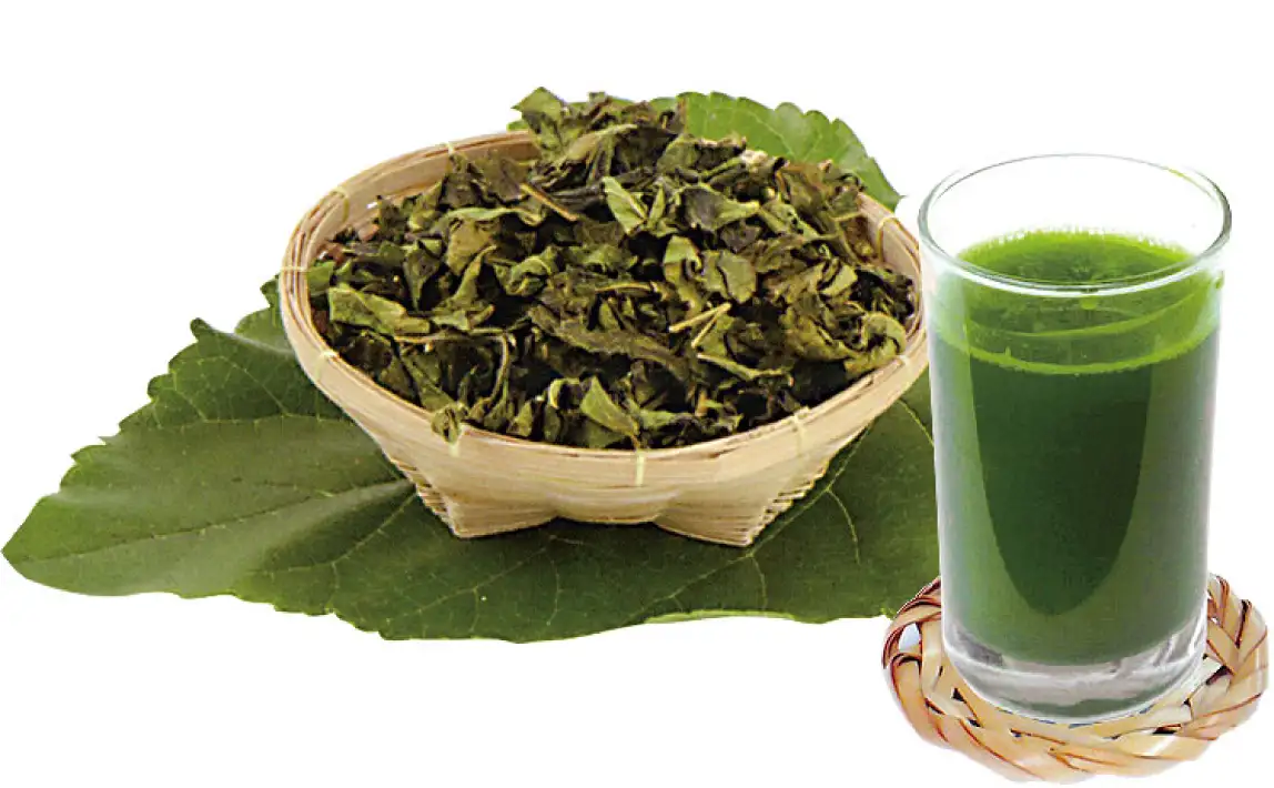 さがみの桑茶のイメージ